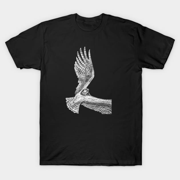 Osprey T-Shirt by Tim Jeffs Art